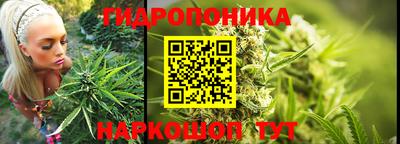 спиды Тула